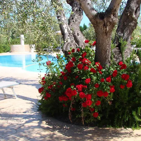 Daire Charming In With Shared Pool - 35 M² Vieste