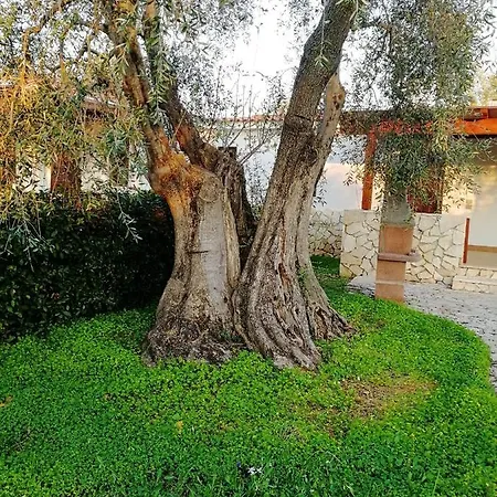 Charming In With Shared Pool - 35 M² Vieste