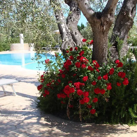 Charming In With Shared Pool - 35 M² Apartman