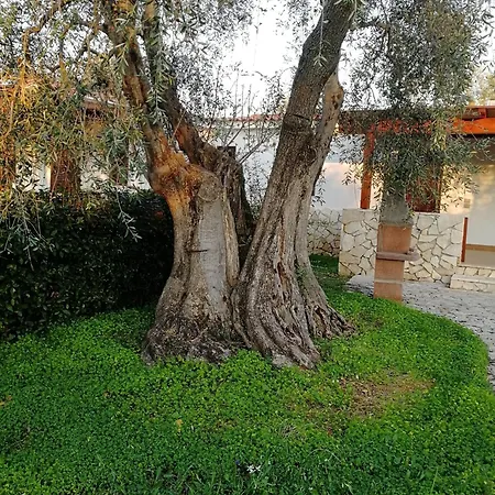 Apartman Charming In With Shared Pool - 35 M²