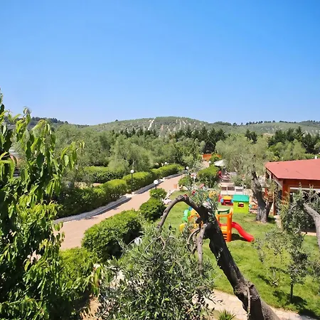 Charming In With Shared Pool - 35 M² Vieste