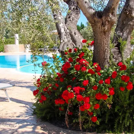 Charming In With Shared Pool - 35 M²